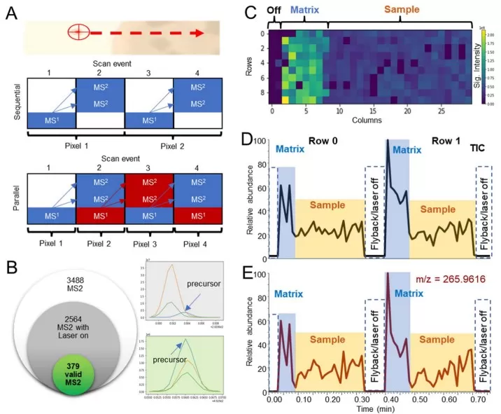 DDA principles and matrix effect in MSI